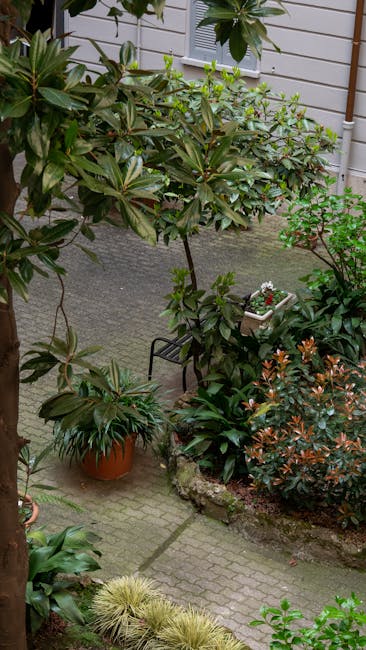A small courtyard garden featuring a variety of lush, green plants and shrubs, including a large leafy shrub with broad, dark green leaves and smaller flowering bushes with reddish-tinged leaves. The garden has a paved stone pathway winding through the space, bordered by flower beds containing flowering plants and potted plants. In the background, there is a white wooden shed or house with a window, and the overall setting appears well-maintained with neatly trimmed vegetation. Garden tools or maintenance activities are not visible, but the scene suggests ongoing garden care. The natural lighting indicates it might be an overcast day, providing soft, diffused light across the garden. The scene exemplifies thoughtful landscaping and garden maintenance, reflecting the services offered by Gardeners Bayswater.