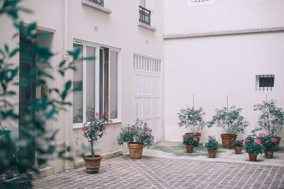 A small courtyard garden featuring a variety of lush, green plants and shrubs, including a large leafy shrub with broad, dark green leaves and smaller flowering bushes with reddish-tinged leaves. The garden has a paved stone pathway winding through the space, bordered by flower beds containing flowering plants and potted plants. In the background, there is a white wooden shed or house with a window, and the overall setting appears well-maintained with neatly trimmed vegetation. Garden tools or maintenance activities are not visible, but the scene suggests ongoing garden care. The natural lighting indicates it might be an overcast day, providing soft, diffused light across the garden. The scene exemplifies thoughtful landscaping and garden maintenance, reflecting the services offered by Gardeners Bayswater.